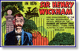 Sir Henry Wickham