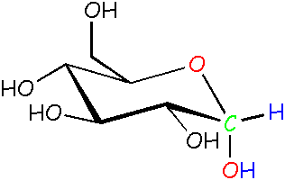 alpha glucose