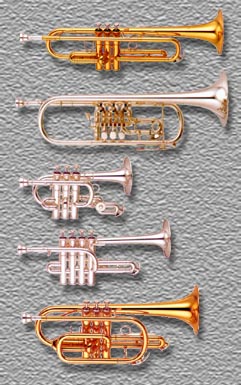 a family of trumpets