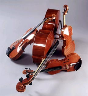 violins.jpg