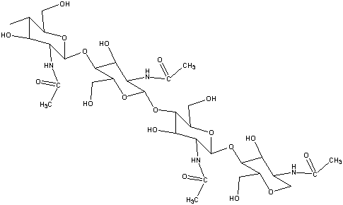 chitin
molecule