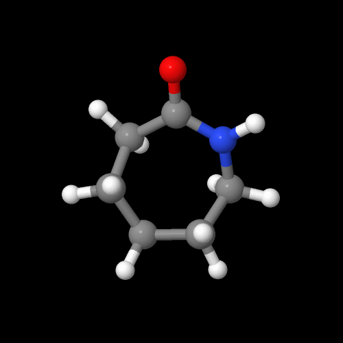 caprolactam monomer