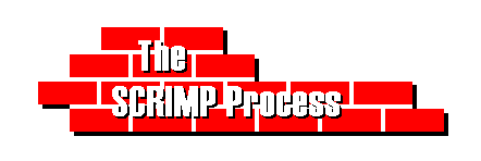The SCRIMP Process