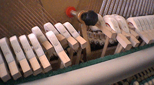 piano hammers