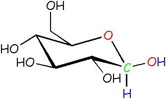 structure: beta form of glucose