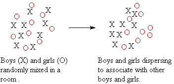 Boys and Girls Separating