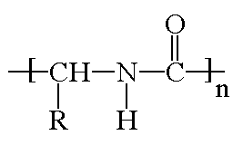 protein molecule