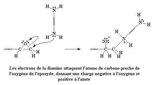 epsyn07f.gif (5572 octets)