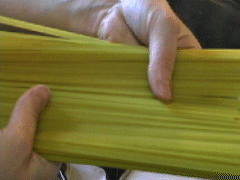 a handful of stiff raw spaghetti