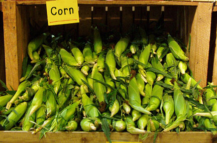 corn