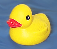 ducky