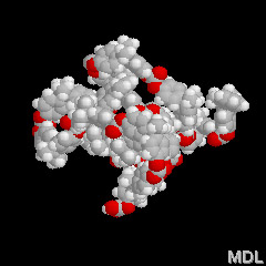 polycarbonate