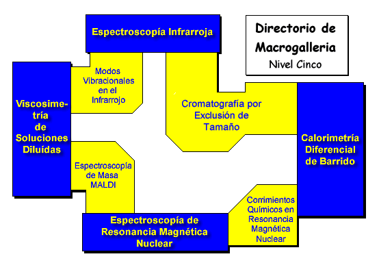 Floor Five Map